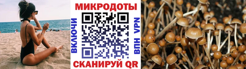 сколько стоит  Кяхта  Галлюциногенные грибы мицелий 